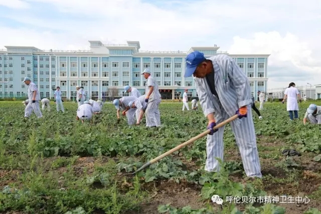 我院志愿者陪同患者康復(fù)訓練 幫助其恢復(fù)社交能力5.webp.jpg