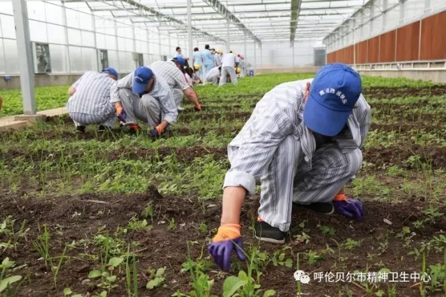 我院志愿者陪同患者康復(fù)訓練 幫助其恢復(fù)社交能力2.webp.jpg