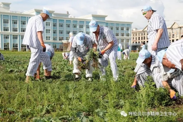 我院志愿者陪同患者康復(fù)訓練 幫助其恢復(fù)社交能力4.webp.jpg