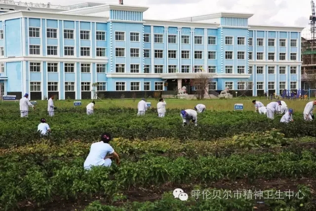 職業(yè)康復(fù)農(nóng)療基地——勞動中找快樂、促健康2.webp.jpg